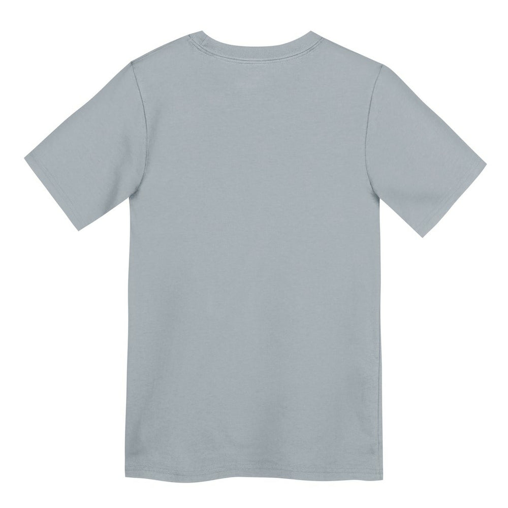 Las Vegas Raiders Preschool Icon Legend Dri-FIT T-Shirt Gray | Nike for Sale