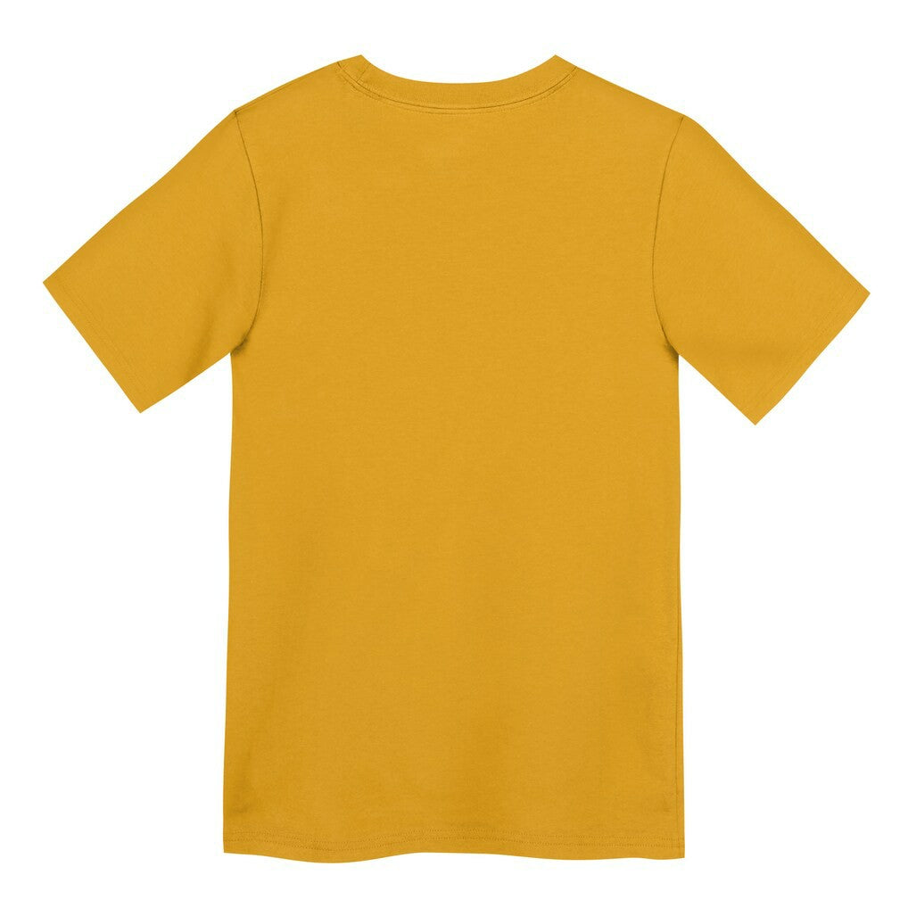 Pittsburgh Steelers Preschool Icon Legend Dri-FIT T-Shirt Gold | Nike for Sale