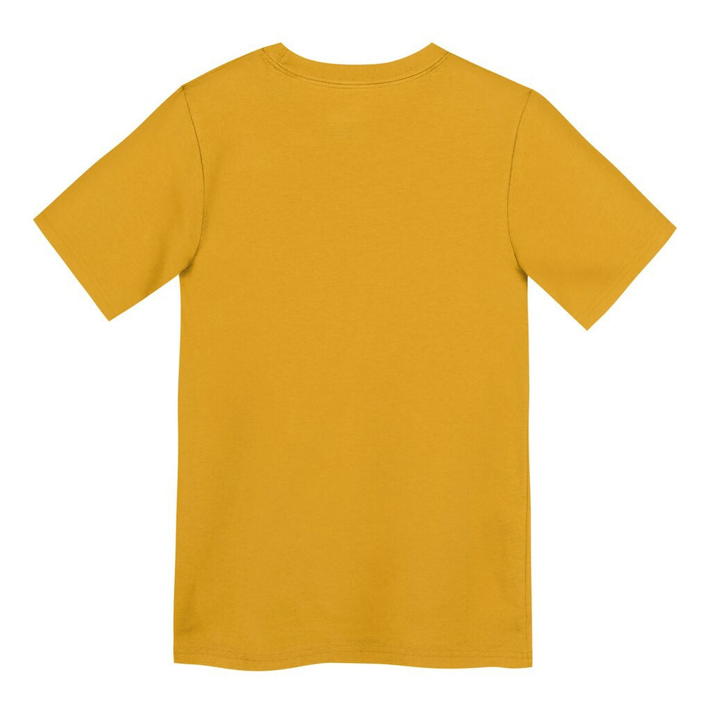 Pittsburgh Steelers Preschool Icon Legend Dri-FIT T-Shirt Gold | Nike for Sale