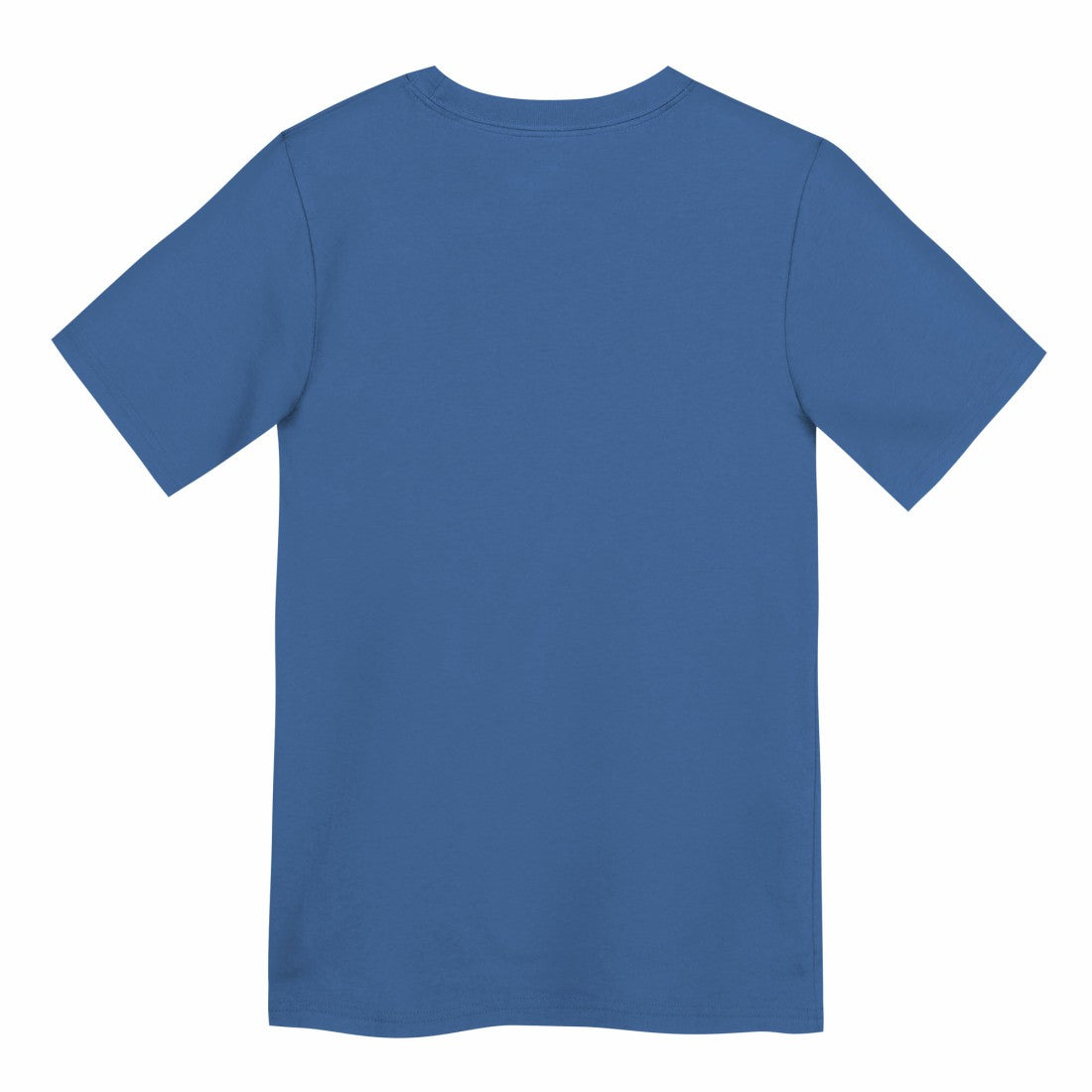 Detroit Lions Preschool Primary Logo Legend Performance T-Shirt Blue | Nike for Sale