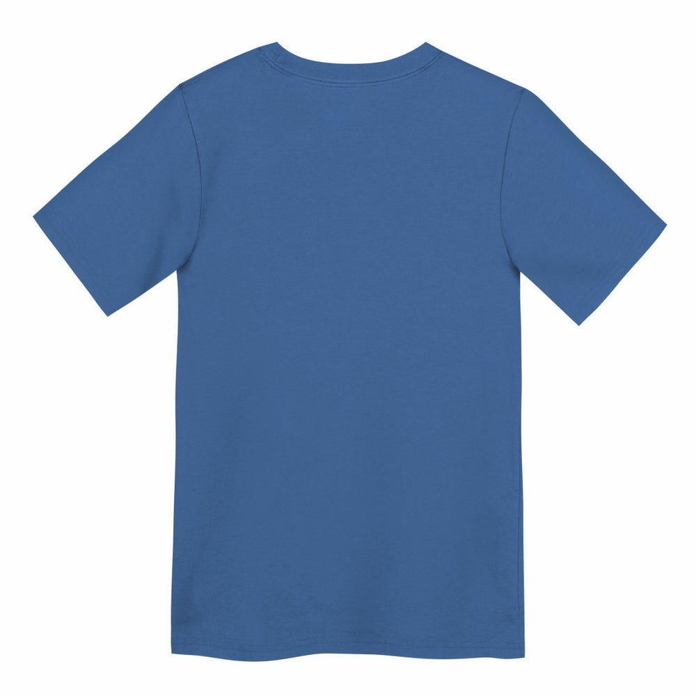 Detroit Lions Preschool Primary Logo Legend Performance T-Shirt Blue | Nike for Sale