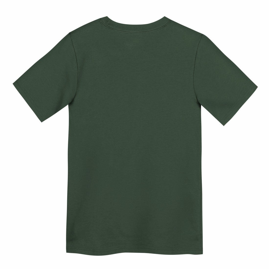 Green Bay Packers Preschool Primary Logo Legend Performance T-Shirt Green | Nike for Sale