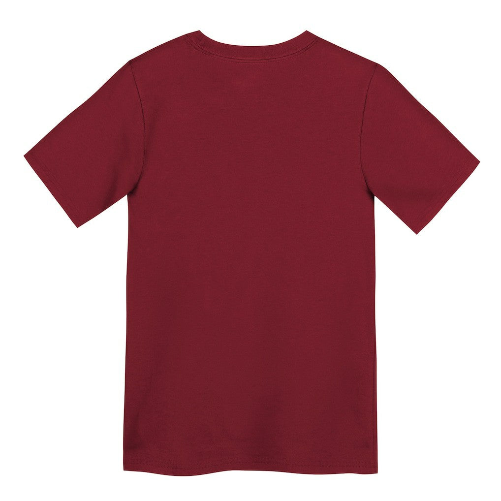 San Francisco 49ers Preschool Primary Logo Legend Performance T-Shirt Scarlet | Nike for Sale