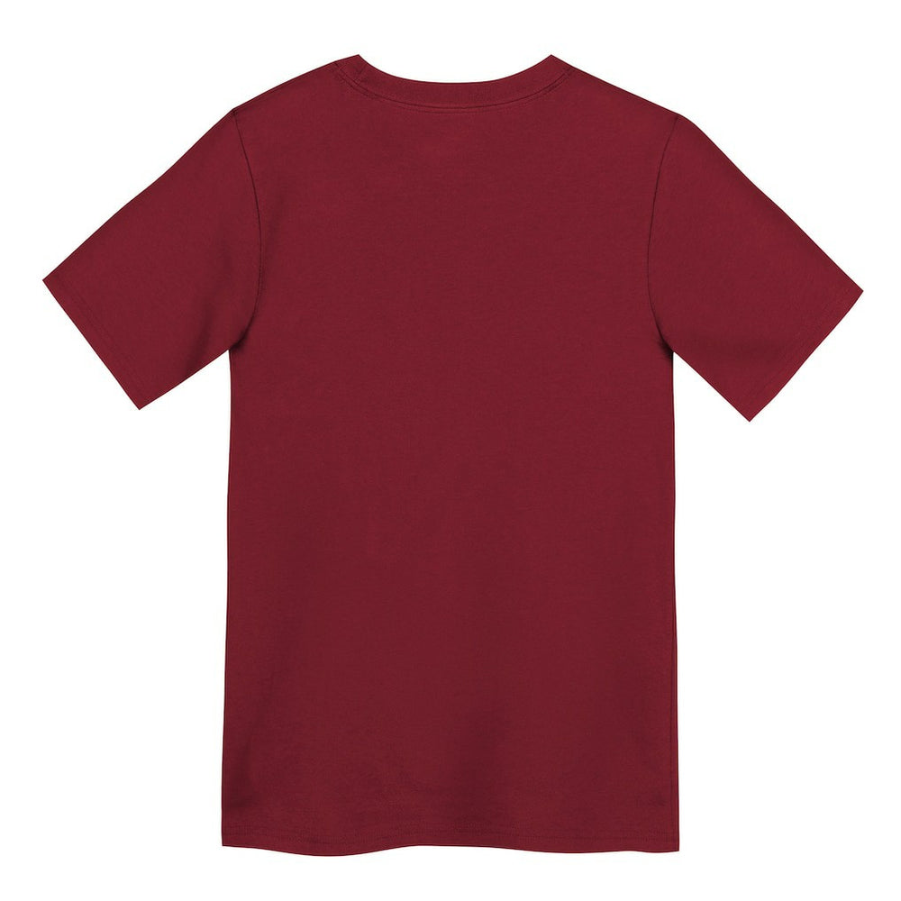 San Francisco 49ers Preschool Primary Logo Legend Performance T-Shirt Scarlet | Nike for Sale