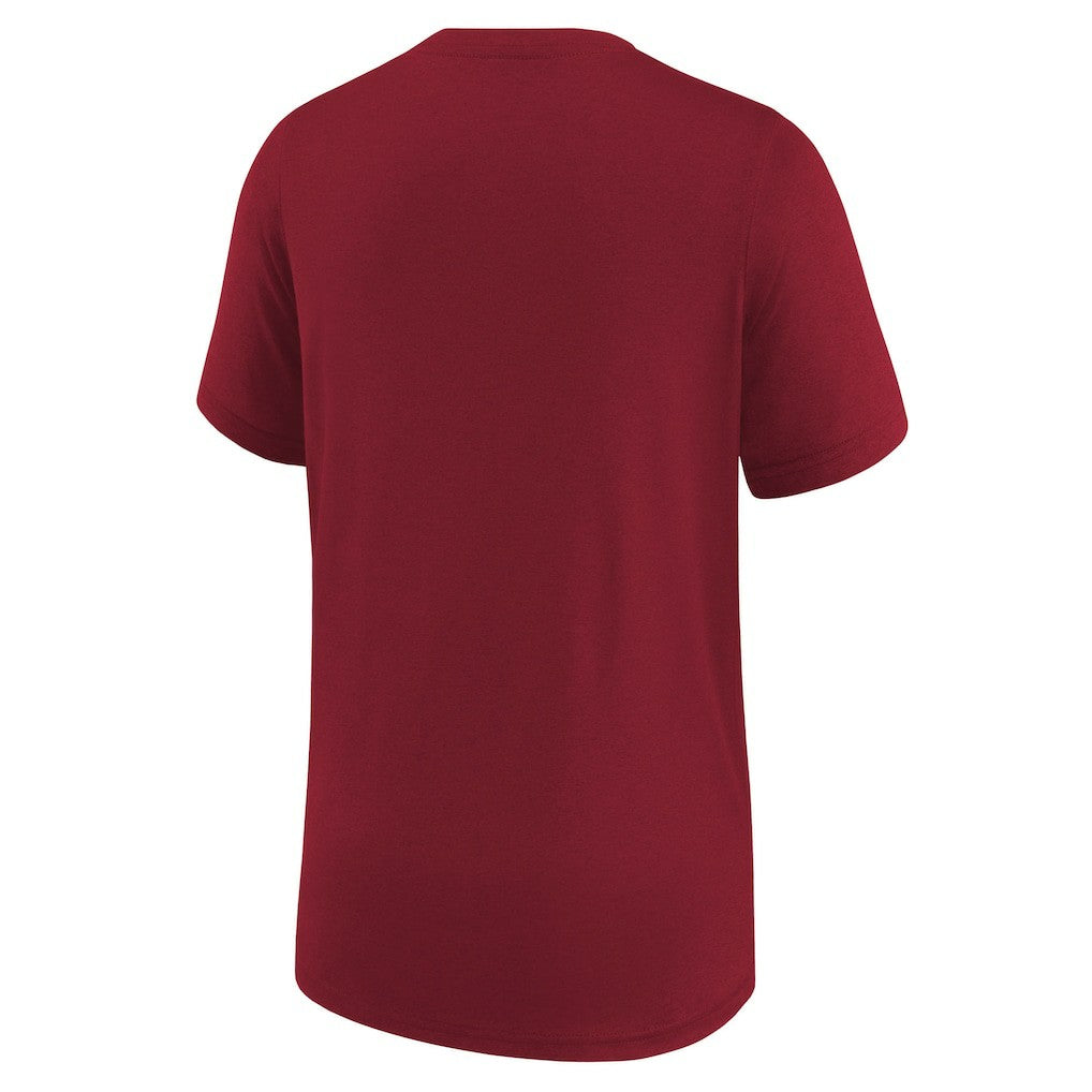 New York Giants Youth Icon Legend T-Shirt Red | Nike for Sale