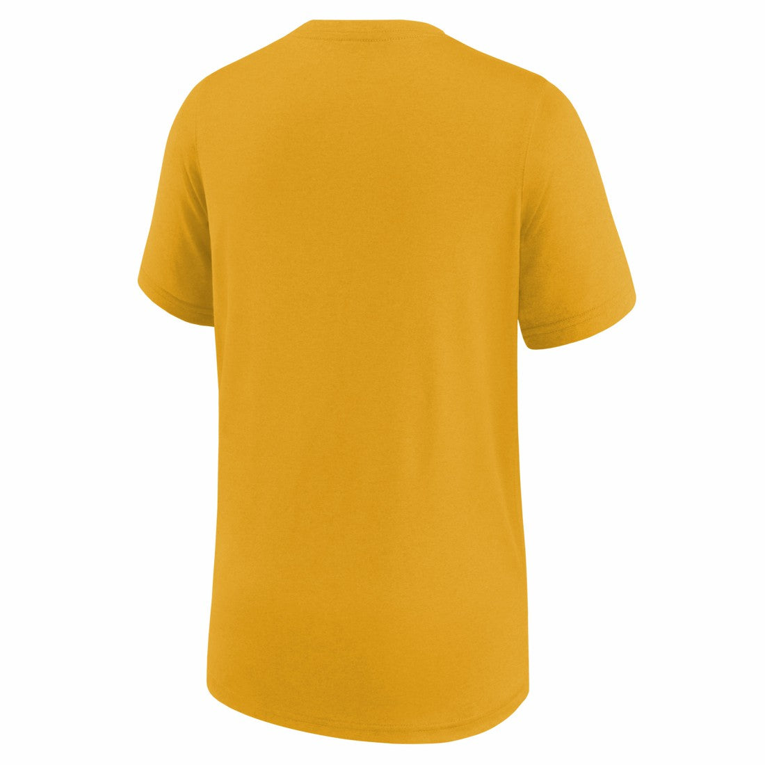 Green Bay Packers Youth Icon Legend T-Shirt Gold | Nike for Sale