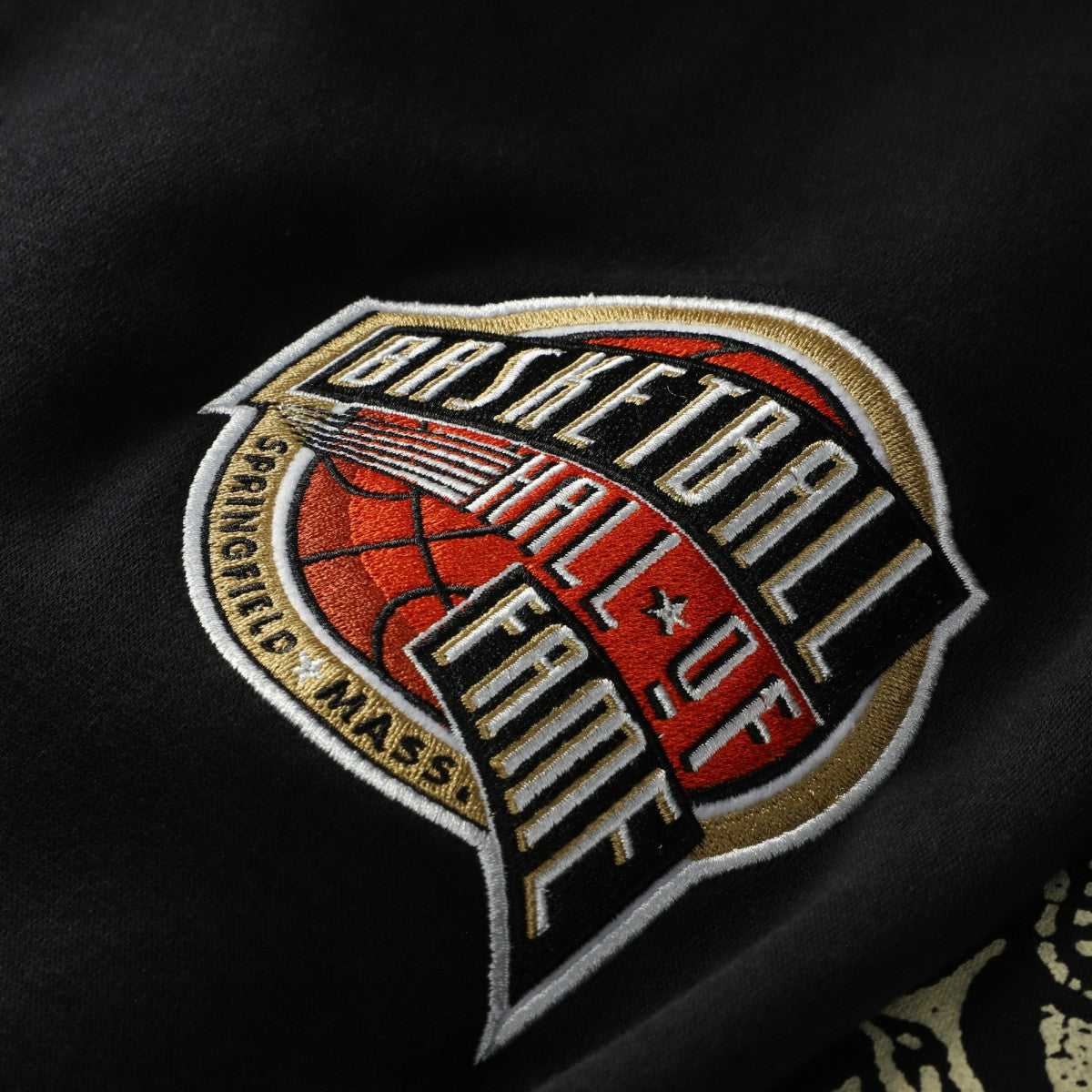 Vince Carter Toronto Raptors NBA Hall of Fame 2024 Fleece Pullover Hoodie Black - NBA