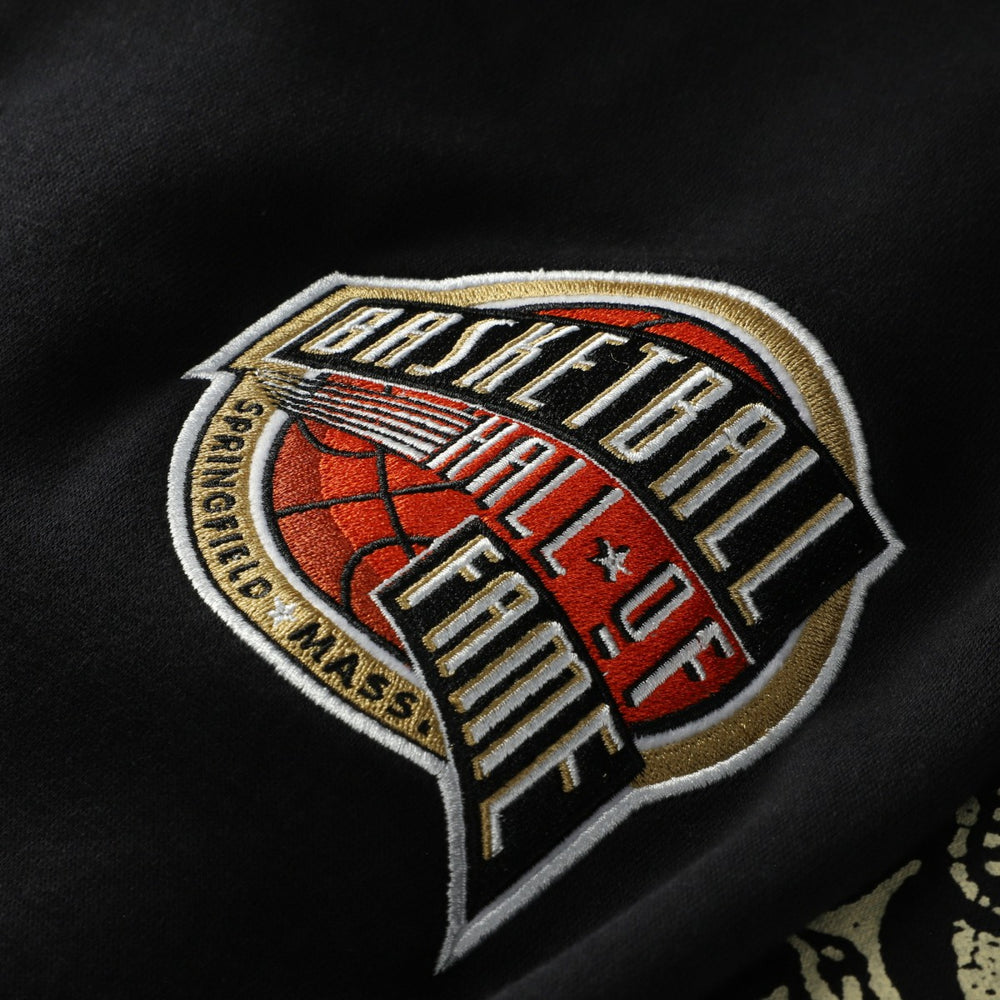 Vince Carter Toronto Raptors NBA Hall of Fame 2024 Fleece Pullover Hoodie Black - NBA