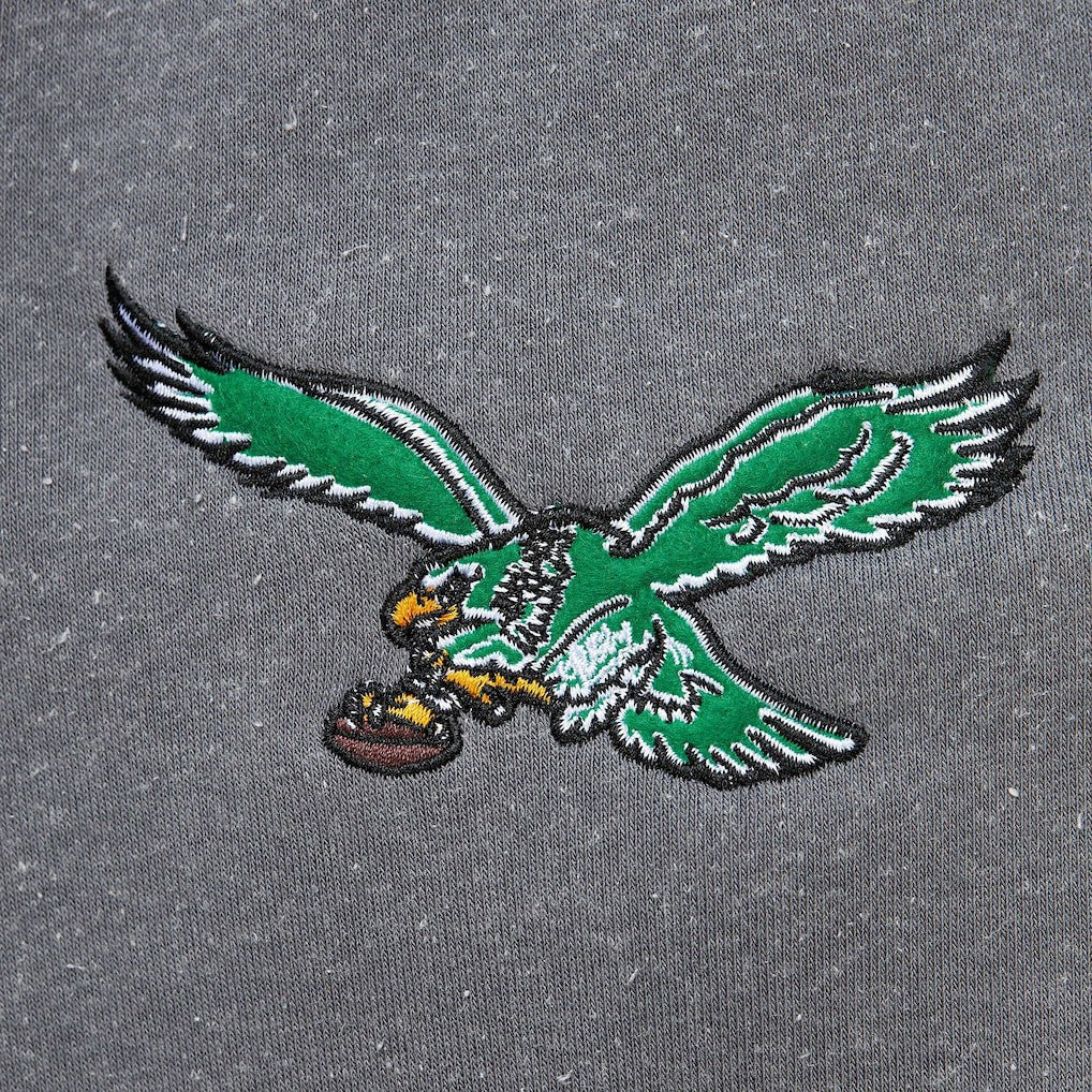 Philadelphia Eagles Vintage Logo Snow Washed Fleece Pullover Hoodie Heather Gray | Mitchell & Ness
