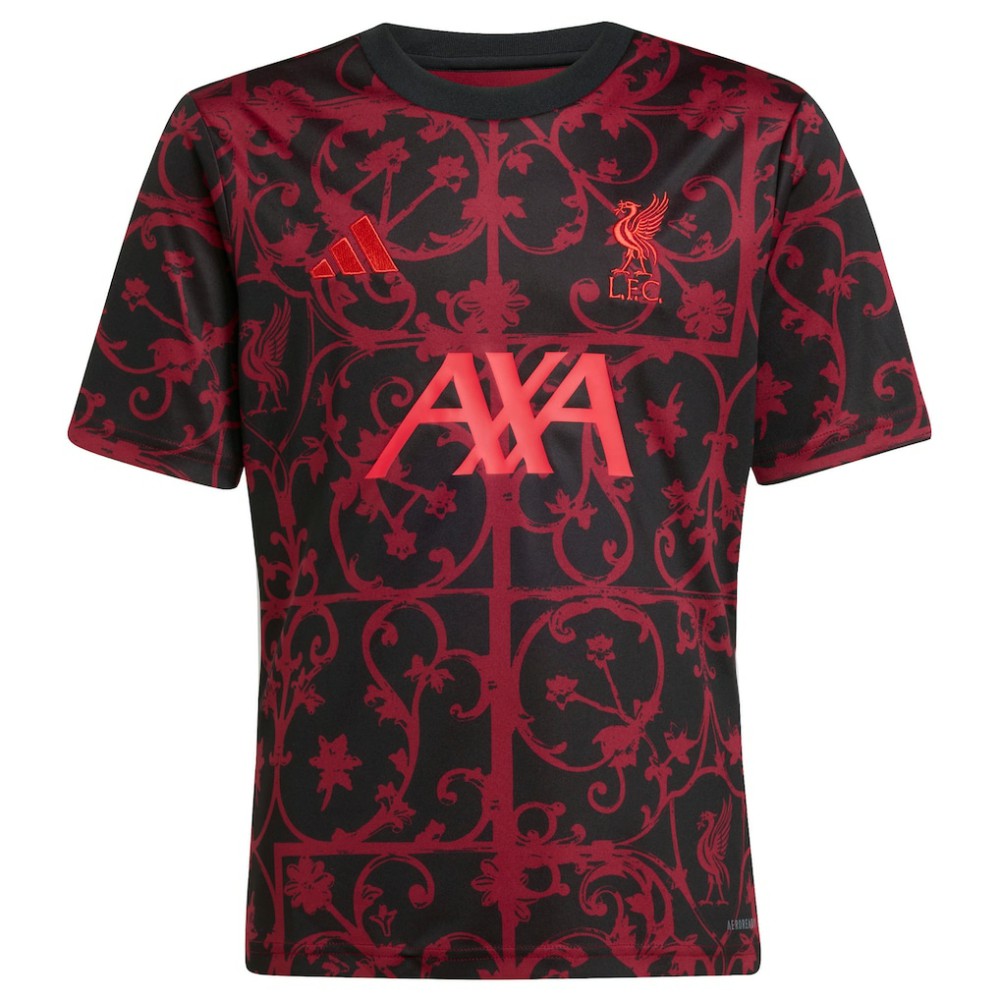 Liverpool Youth 2025/26 Pre-Match AEROREADY Top Black | Adidas online