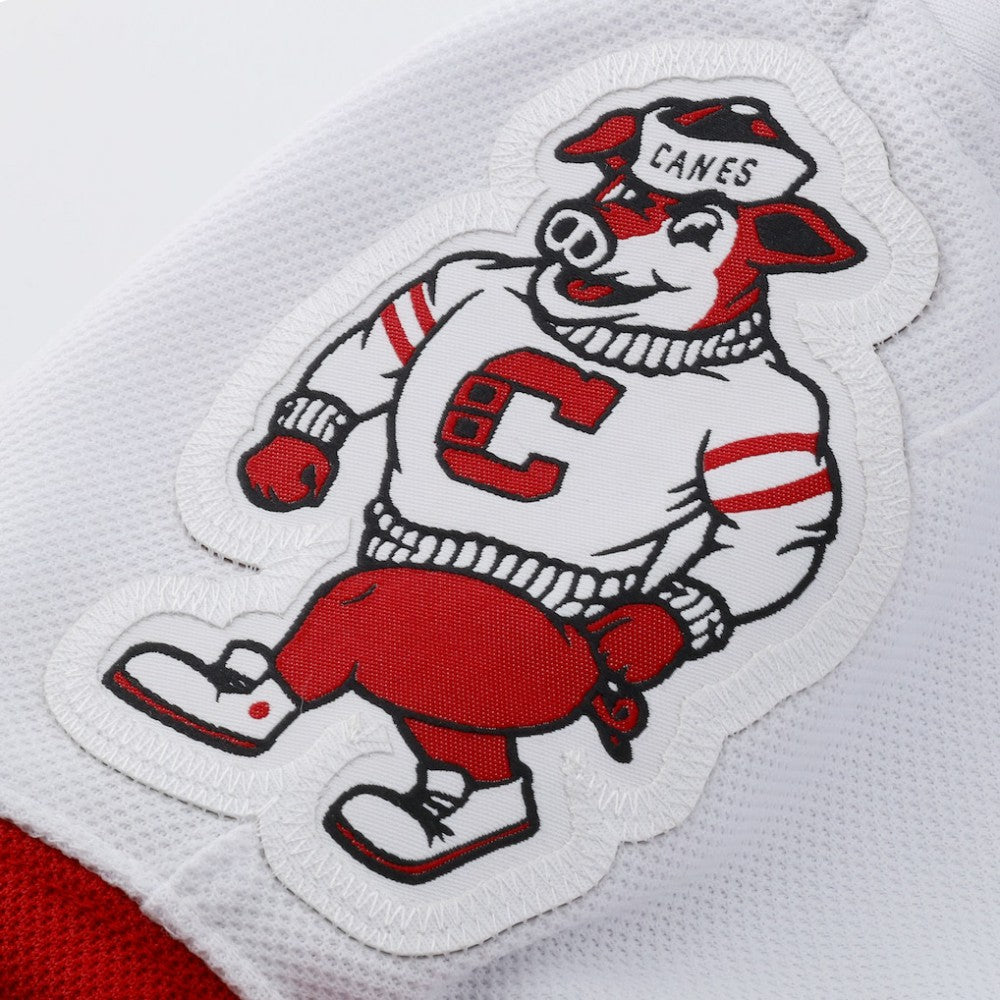 Andrei Svechnikov Carolina Hurricanes Fanatics Away Premium Jersey - White - NHL