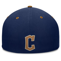 Cleveland Guardians Fanatics Splinter Fitted Hat - MLB