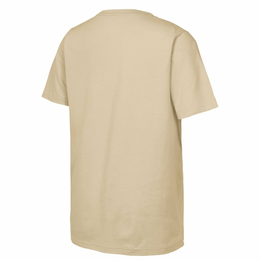 St. Louis Blues Youth 2025 NHL Winter Classic Street Art T-Shirt - Tan - NHL