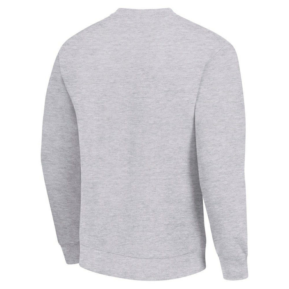 Washington Capitals Men's Starter Team Logo Fleece Pullover Sweatshirt - Heather Gray - NHL