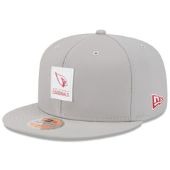 Arizona Cardinals New Era 2025 Sideline 59FIFTY Fitted Hat Gray | NFL