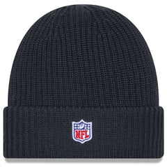 Arizona Cardinals New Era 2025 Sideline Cold Weather Cuffed Knit Hat Charcoal | NFL