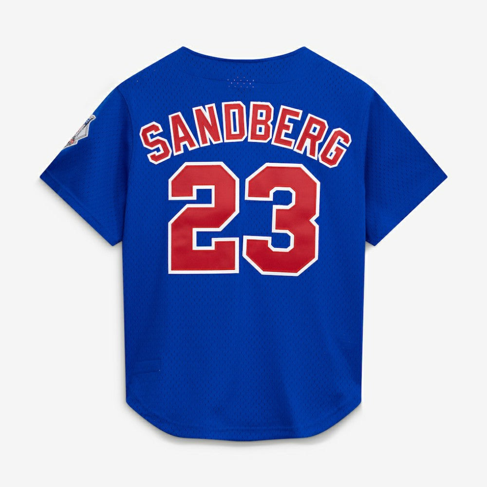 Ryne Sandberg Chicago Cubs Mitchell & Ness Cooperstown Collection 1997 Mesh Batting Practice Button-Up Jersey - MLB