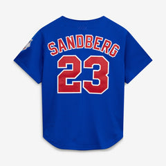 Ryne Sandberg Chicago Cubs Mitchell & Ness Cooperstown Collection 1997 Mesh Batting Practice Button-Up Jersey - MLB