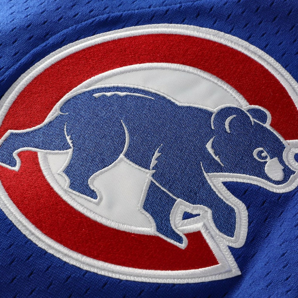 Ryne Sandberg Chicago Cubs Mitchell & Ness Cooperstown Collection 1997 Mesh Batting Practice Button-Up Jersey - MLB
