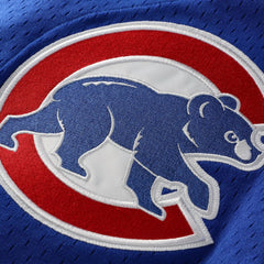 Ryne Sandberg Chicago Cubs Mitchell & Ness Cooperstown Collection 1997 Mesh Batting Practice Button-Up Jersey - MLB