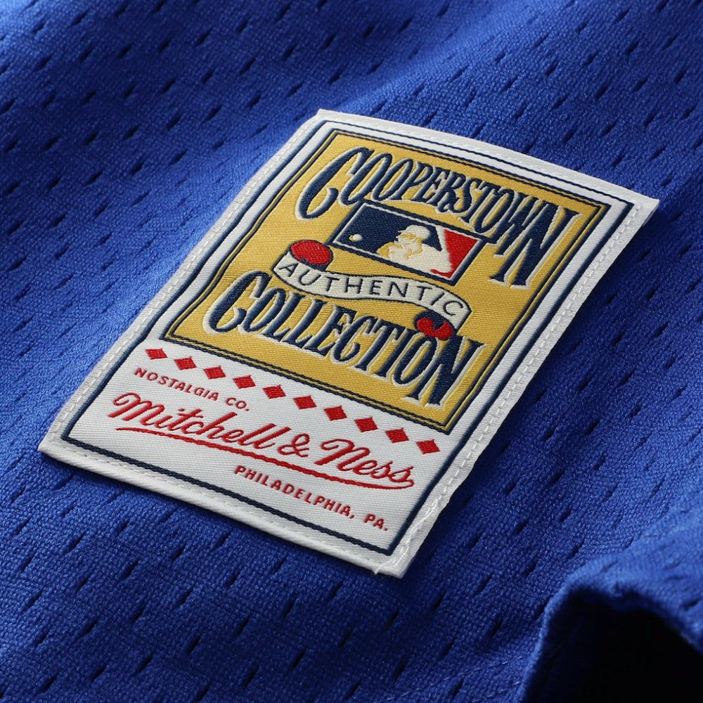 Ryne Sandberg Chicago Cubs Mitchell & Ness Cooperstown Collection 1997 Mesh Batting Practice Button-Up Jersey - MLB