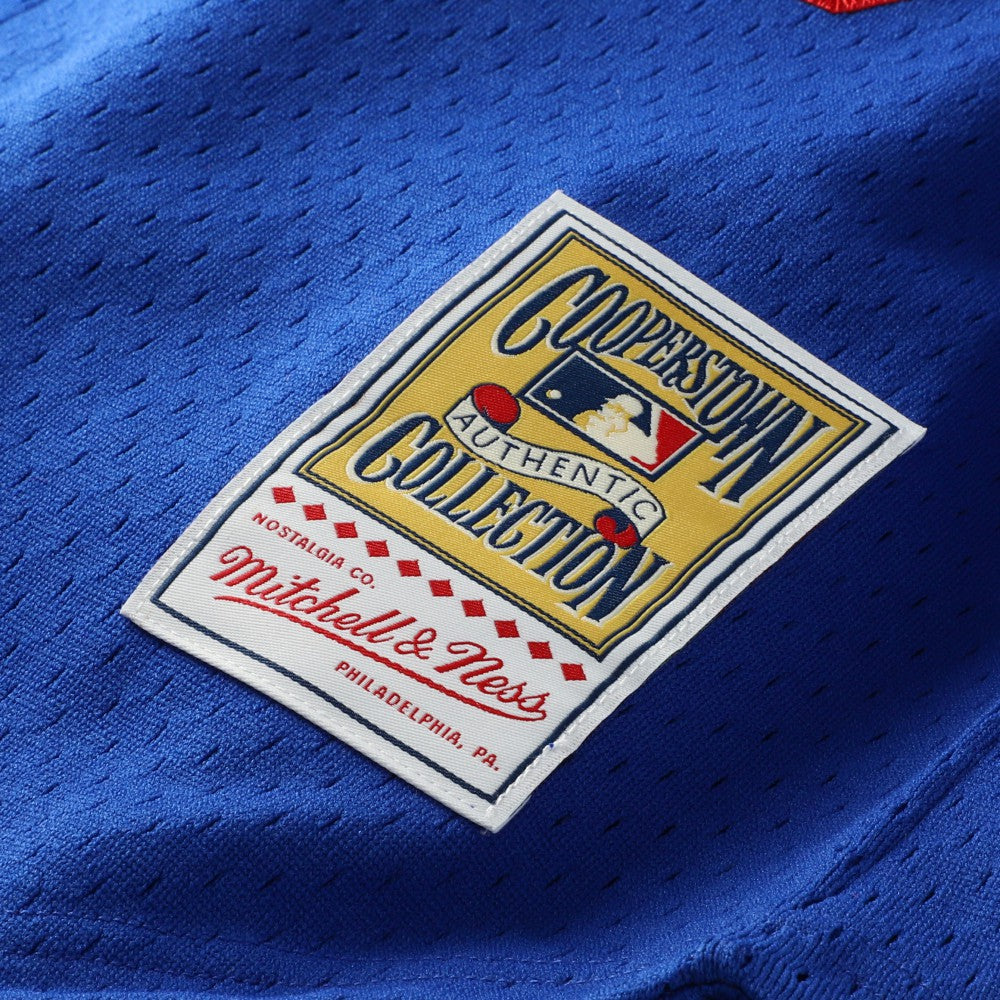 Hideo Nomo Los Angeles Dodgers Mitchell & Ness Cooperstown Collection Mesh Batting Practice Button-Up Jersey - MLB