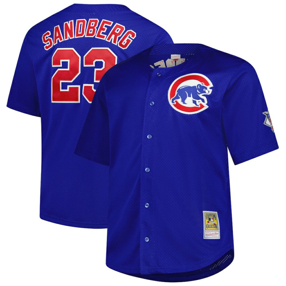 Ryne Sandberg Chicago Cubs Mitchell & Ness Big & Tall Cooperstown Mesh Batting Practice Jersey - MLB