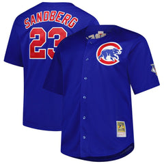 Ryne Sandberg Chicago Cubs Mitchell & Ness Big & Tall Cooperstown Mesh Batting Practice Jersey - MLB