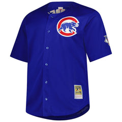 Ryne Sandberg Chicago Cubs Mitchell & Ness Big & Tall Cooperstown Mesh Batting Practice Jersey - MLB