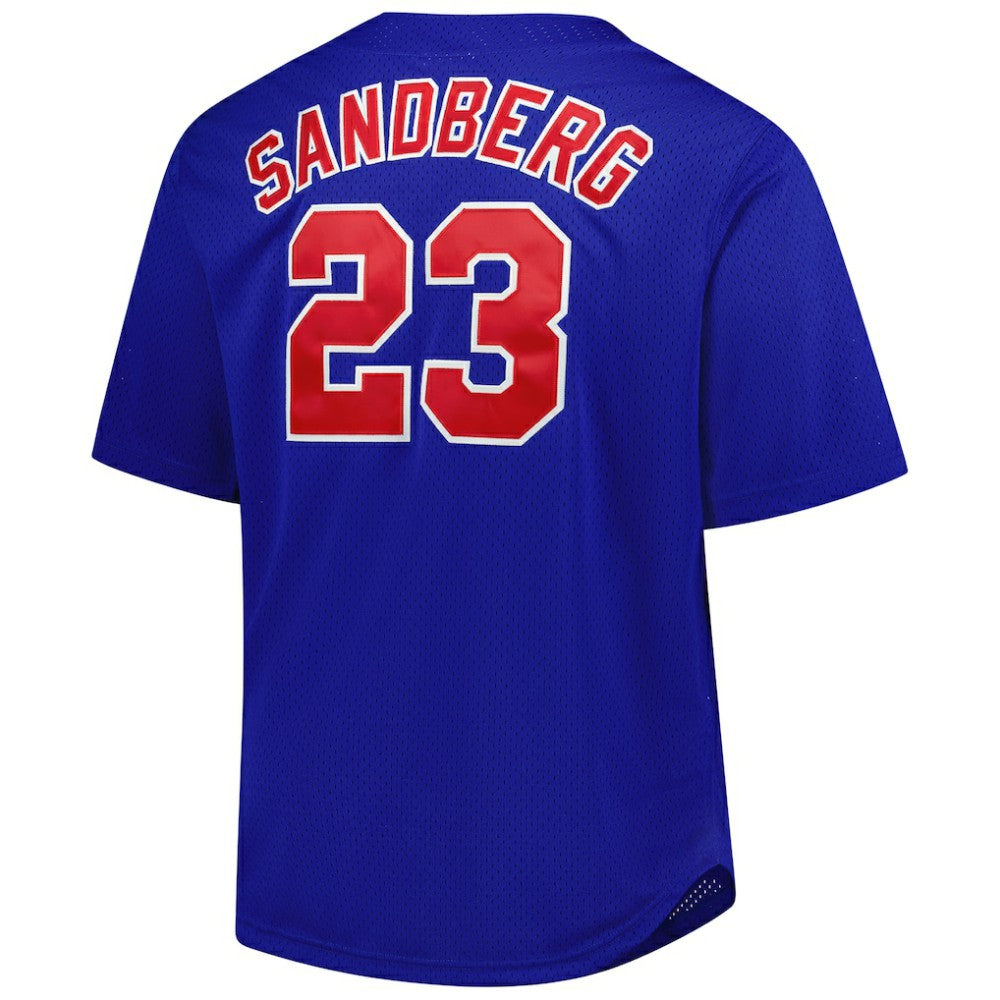 Ryne Sandberg Chicago Cubs Mitchell & Ness Big & Tall Cooperstown Mesh Batting Practice Jersey - MLB