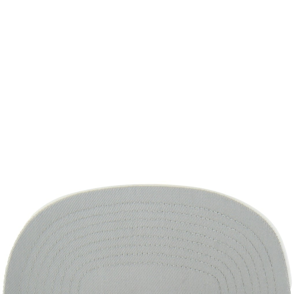 Carolina Panthers '47 Snowball Trophy Stretch Fit Hat White | 47 brand