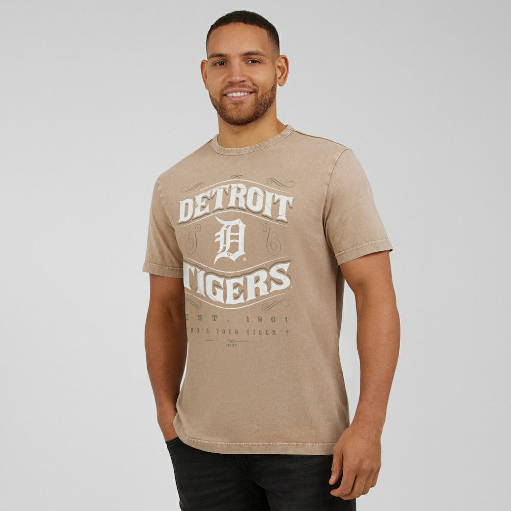 Detroit Tigers Darius Rucker Collection by Fanatics Sun Faded T-Shirt - MLB