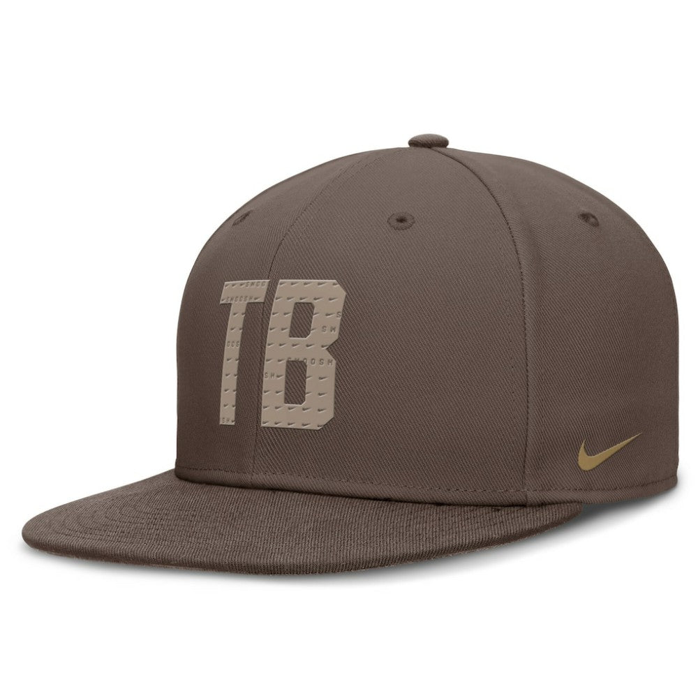 Tampa Bay Rays Nike True Statement 20th AnniversaryPerformance Fitted Hat - MLB