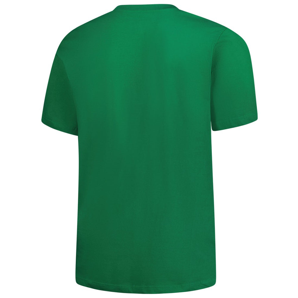 Detroit Lions Big & Tall Celtic T-Shirt Kelly Green | Fanatics