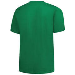 Detroit Lions Big & Tall Celtic T-Shirt Kelly Green | Fanatics