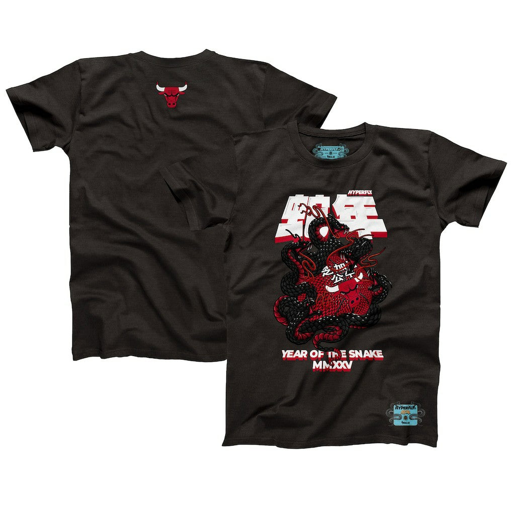 Chicago Bulls NBALab x Hyperfly Unisex Year of the Snake Lunar New Year Collection T-Shirt Heather Black - NBA