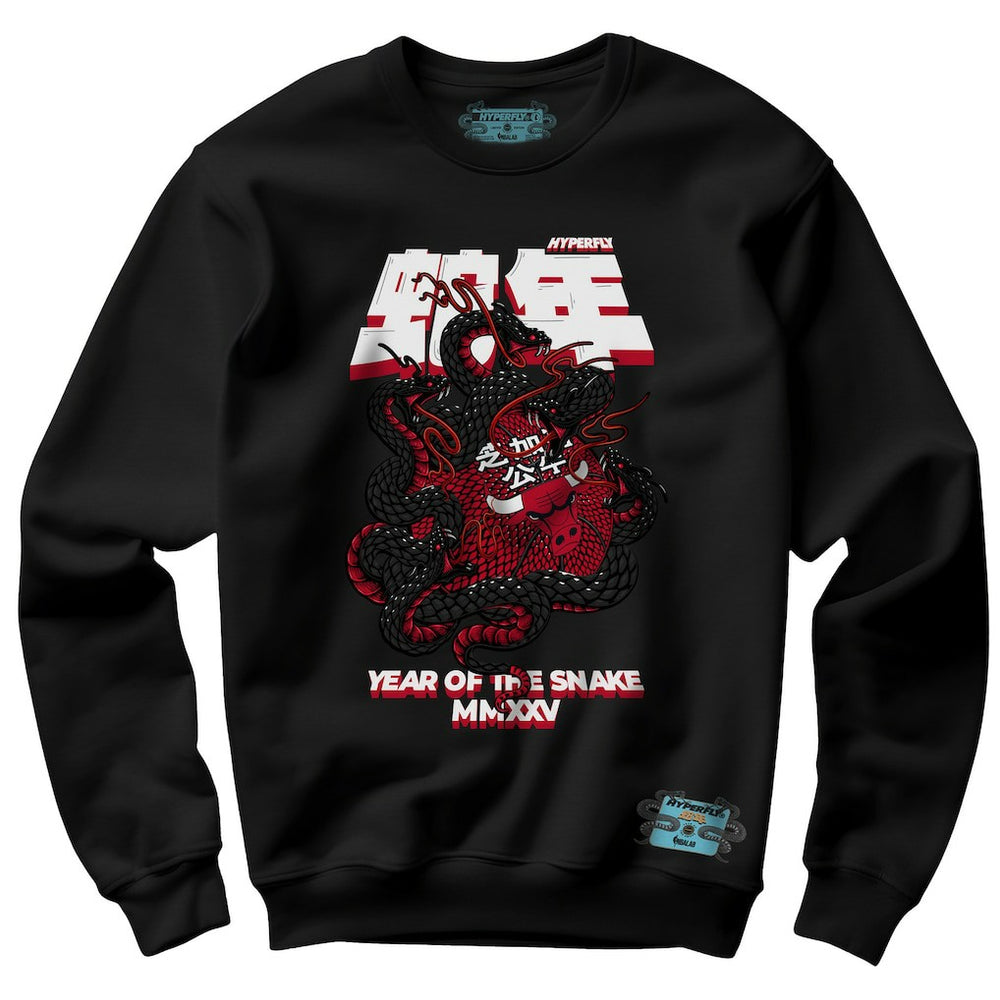 Chicago Bulls NBALab x Hyperfly Unisex Year of the Snake Lunar New Year Collection Sweatshirt Black - NBA