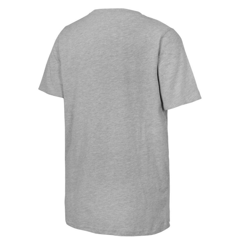 Youth 2025 NHL Stadium Series Columbus Blue Jackets vs. Detroit Red Wings Matchup T-Shirt - Heather Gray - NHL