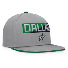 Dallas Stars Fanatics Fundamentals Duo Split Logo Snapback Hat - Gray - NHL