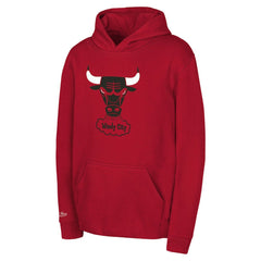 Chicago Bulls Preschool Retro Logo Pullover Hoodie Red - NBA