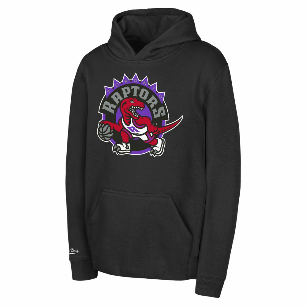 Toronto Raptors Preschool Retro Logo Pullover Hoodie Black - NBA
