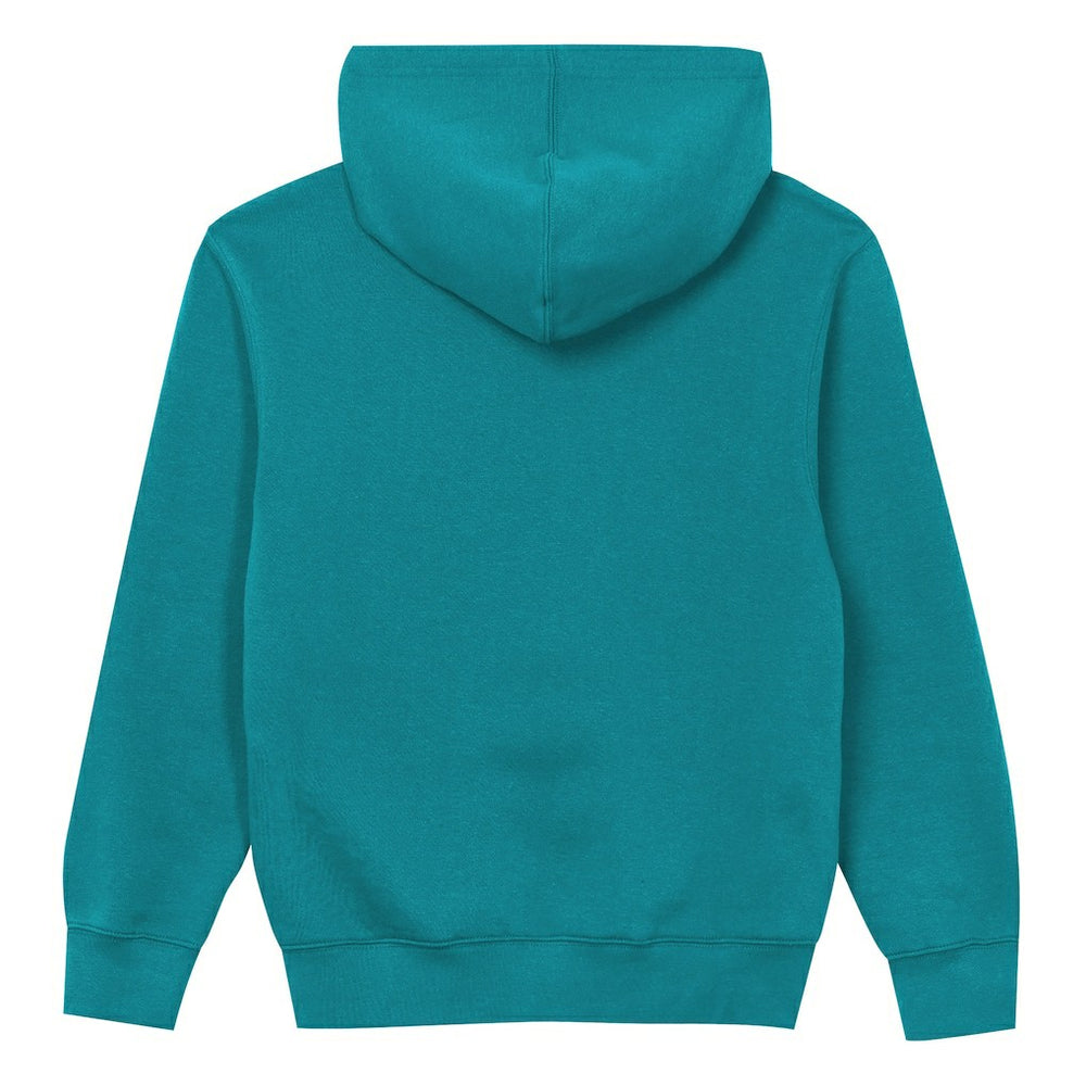Miami Dolphins Outerstuff Preschool Back to Basics Hoodie Aqua | NFL
