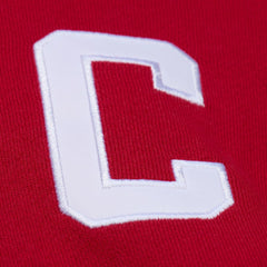 Steve Yzerman Detroit Red Wings Mitchell & Ness 1997 Name & Number Premium Pullover Hoodie - Scarlet - NHL