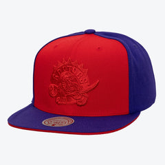 Toronto Raptors Color Pop Snapback Hat Red/Purple - NBA