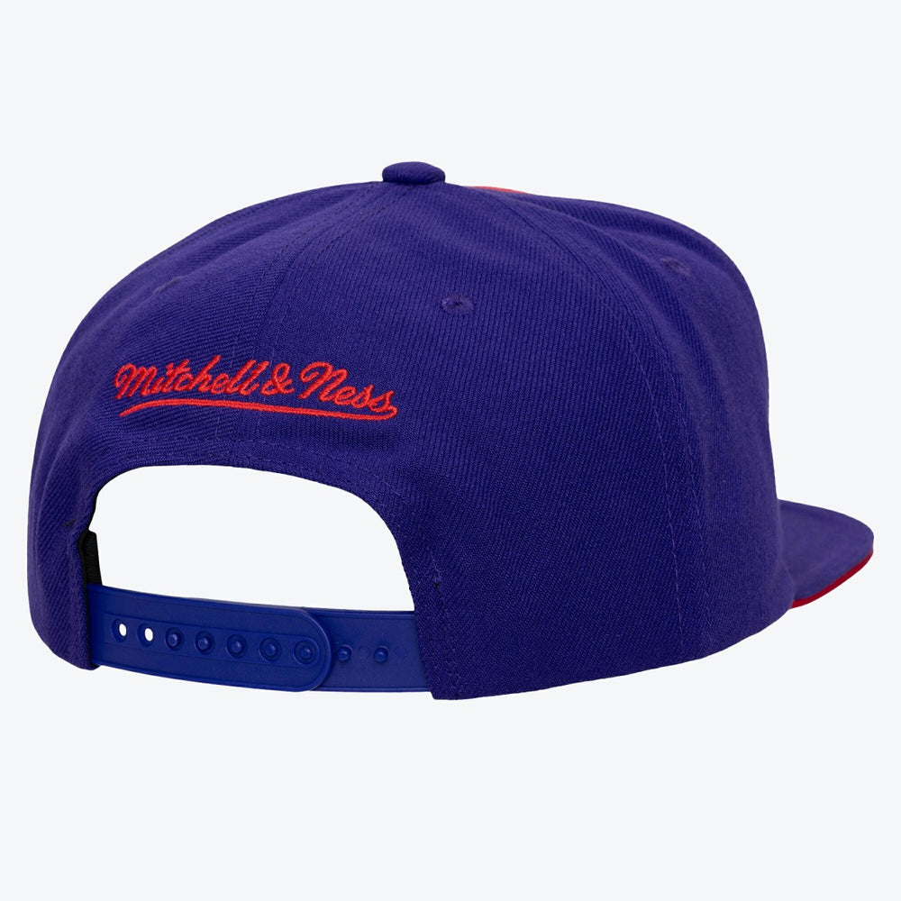 Toronto Raptors Color Pop Snapback Hat Red/Purple - NBA