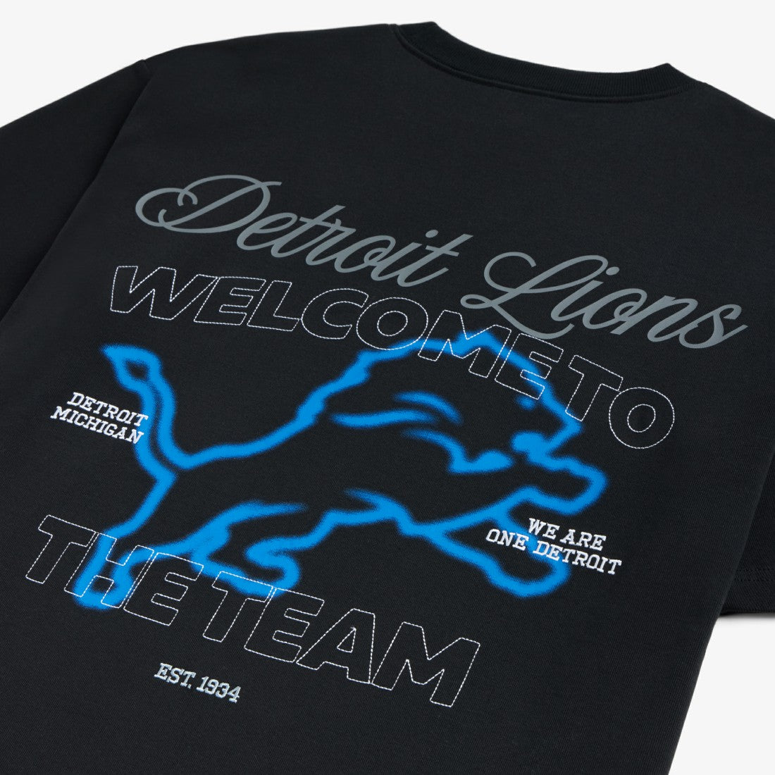 Detroit Lions Off Season x NFL Unisex Graphic T-Shirt Black | NFL