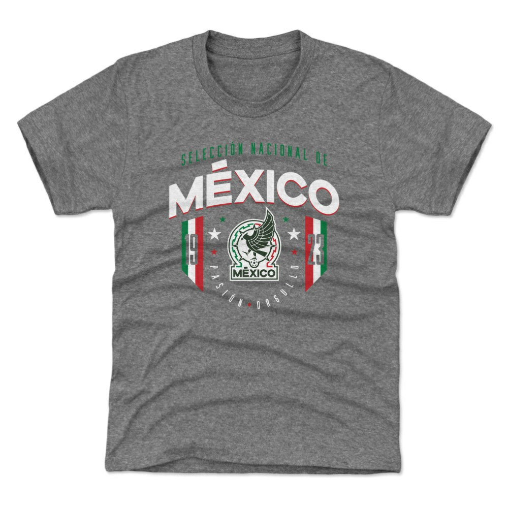 Mexico National Team 500 Level Youth 1923 T-Shirt Gray - FIFA World CUP