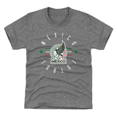 Mexico National Team 500 Level Youth Futbol T-Shirt Gray - FIFA World CUP