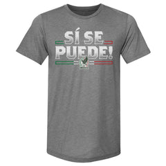 Mexico National Team 500 Level Si Se Puede Premium Tri-Blend T-Shirt Gray - FIFA World CUP