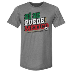 Mexico National Team 500 Level Si Se Puede Premium Tri-Blend T-Shirt Gray - FIFA World CUP